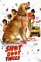 Nonton Film Shot Boot Three (2023) Terbaru Nonton Film Shot Boot Three (2023) Terbaru
