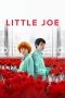 Nonton Film Little Joe (2019) Terbaru Nonton Film Little Joe (2019) Terbaru