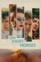 Nonton Film On Swift Horses (2025) Terbaru